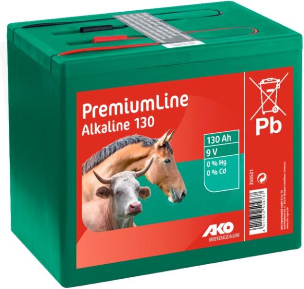Image sur Pile Alcaline